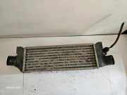 Ladeluftkühler FORD TRANSIT Furgon (FA_ _) 2.0 DI (FAE_, FAF_, FAG_) 2C119L440