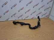 Schalterleiste BMW X5 (E70) 7806706