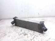 Ladeluftkühler FORD TRANSIT 2.0 TDCi gk216k775ae fk8ba