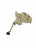Behälter Scheibenwaschanlage Mercedes-Benz M-Klasse (W164) A1648690020K