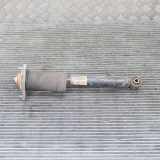 Stoßdämpfer links hinten BMW X5 (E70) 6782877