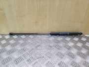 Heckklappendämpfer links Citroen C4 II (B7) 9647295480