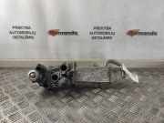 Abgaskühler VW Passat B6 CC (357) 03L131512CF
