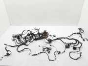 Innenkabelbaum (links) RENAULT TRAFIC III Furgon (FG_) 1.6 dCi 90 240140279R