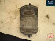 Gasdruckfeder Audi Q7 (4M) 4M0616001AH