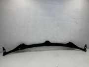 Grill Windlauf Mercedes-Benz C-Klasse (W205) A2058690007