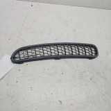 Vorderer oberer Gitter MINI COOPER (R50, R53) Cooper S