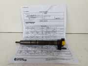 Einspritzdüse VW EOS (1F7, 1F8) 2.0 TDI 16V 091103