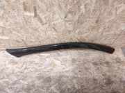Zierleiste Windschutzscheibe Frontscheibe PEUGEOT 607 (9D, 9U) 2.7 HDi 24V 300537