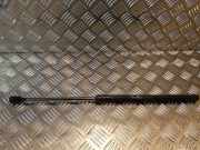 Heckklappendämpfer links Mercedes-Benz A-Klasse (W169) A1697400345