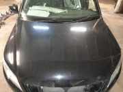 Motorhaube VW Tiguan I (5N)