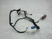Kabel der vorderen linken Tür MERCEDES-BENZ C Cabrio (A205) C 250 (205.445) A2055406109