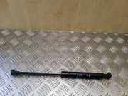 Gasfeder für Motorhaube BMW 5er (E39) 51238174866