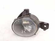 Nebelscheinwerfer links vorne BMW X5 (E70) 6924655