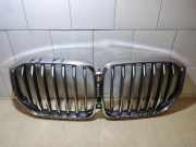 Vorderer oberer Gitter BMW X5 (G05) xDrive 30 d 20240006541