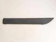 Seitentürleiste links