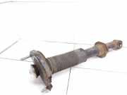 Stoßdämpfer hinten rechts TOYOTA AVENSIS VERSO (_M2_) 2.0 D (CLM20_)