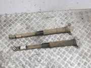 Stoßdämpfer hinten links