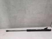 Heckklappe Gasdruckfeder links NISSAN QASHQAI II (J11, J11_) 1.5 dCi 90450JD02D