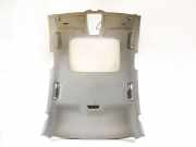 Dach AUDI A4 Allroad (8WH, B9) 2.0 TFSI quattro 8W0880667 8W0971100