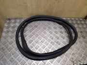 Türdichtung VW Passat B7 (362) 3C9867913B