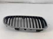 Vorderer oberer Gitter BMW 3 Coupe (E92) 320 d 7254972