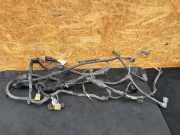 Motor Kabelbaum AUDI Q4 SUV (F4B) 50 e-tron quattro 1EA971230F