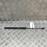 Heckklappe Gasdruckfeder rechts AUDI A4 Avant (8W2, B9) RS4 quattro 8W9827552E
