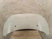 Motorhaube FORD TRANSIT CUSTOM 2.0 TDCi