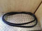 Dichtungsgummi der hinteren Tür (an der Karosserie) FORD TRANSIT CONNECT (P65_, P70_, P80_) 1.8 TDCi