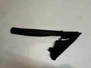 Türgummi links vorne Jaguar F-Type Coupe (QQ6) EX5321597A