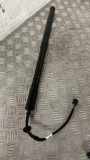 Heckklappe Gasdruckfeder links LAND ROVER RANGE ROVER SPORT II (L494) 3.0 D 4x4 CPLA70354BC