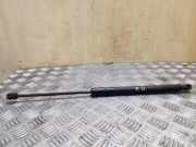 Heckklappe Gasdruckfeder rechts VW TIGUAN (5N_) 2.0 TDI 4motion 5N082755004S