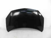 Motorhaube RENAULT KOLEOS I (HY_) 2.0 dCi 4x4 (HY0K)