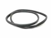 Türdichtung Citroen DS5 ()