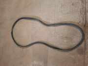 Dichtung für Koffer-/Laderaumklappe Ford EcoSport ()