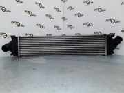 Ladeluftkühler Volvo S80 II (124) 31338471