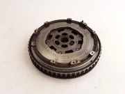 Schwungrad RENAULT SCÉNIC III (JZ0/1_) 1.9 dCi (JM14) 123100001R