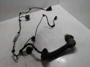 Türverkabelung hinten rechts