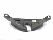 Zierleiste Toyota C-HR (X1) 53141F4011