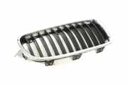Vorderer oberer Gitter BMW 3 (F30, F80) 316 i 7263480 7260498