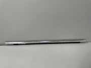 Zierleiste BMW 6er Gran Turismo (G32) 7392350