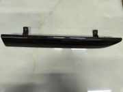 Armaturenbrett Verkleidung