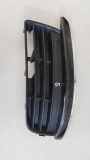 Gitter vorne unten VW JETTA III (1K2) 2.0 TDI 16V 1K0853665G9B9