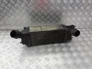 Ladeluftkühler Peugeot 407 Coupe () 9645682880