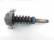 Stoßdämpfer links hinten VW Touareg I (7L) 7L6513029E