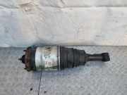 Stoßdämpfer links hinten Land Rover Discovery III (L319) 22214642