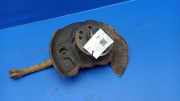 Achsschenkel (ABS) links vorne Mercedes-Benz S-Klasse (W140) W140