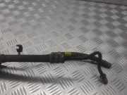 Servopumpe Ford C-Max II (DXA)