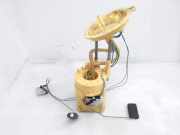 Kraftstoffpumpe BMW X3 (F25) 7216526